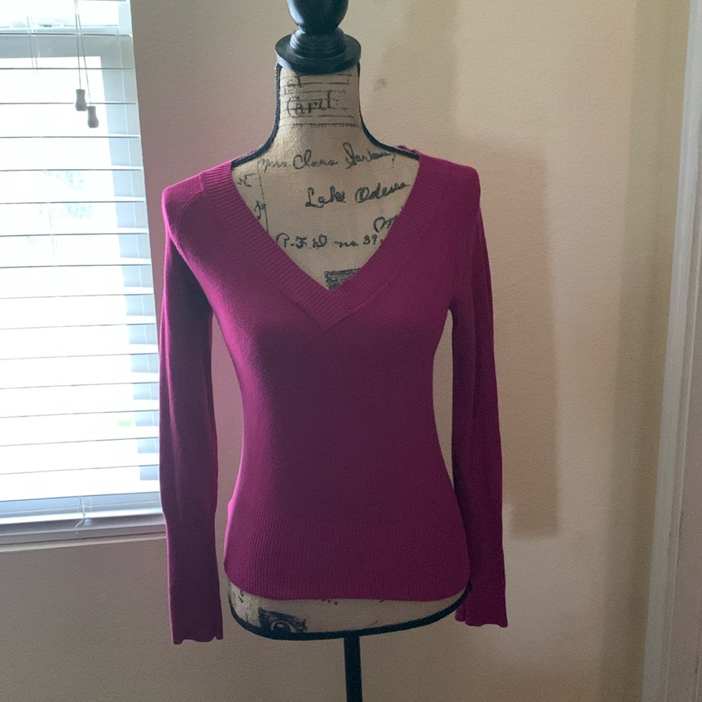 Women Purple Sweater (no tag)